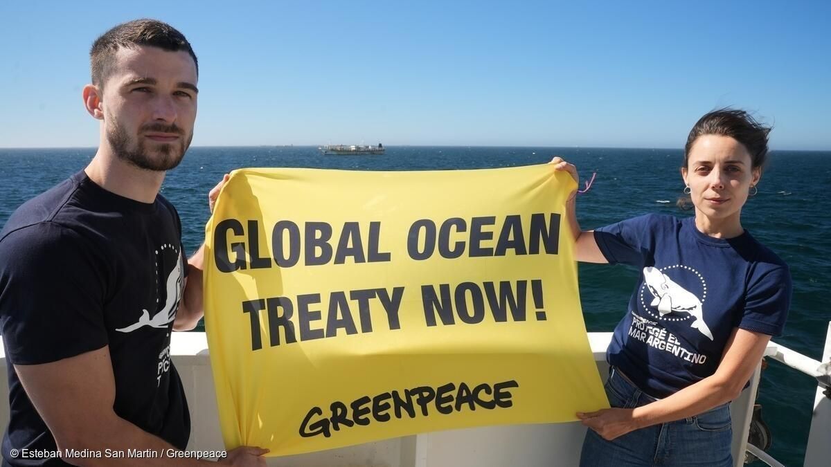 Greenpeace campaigners call for a global ocean treaty. Credit: © Esteban Medina San Martin / Greenpeace