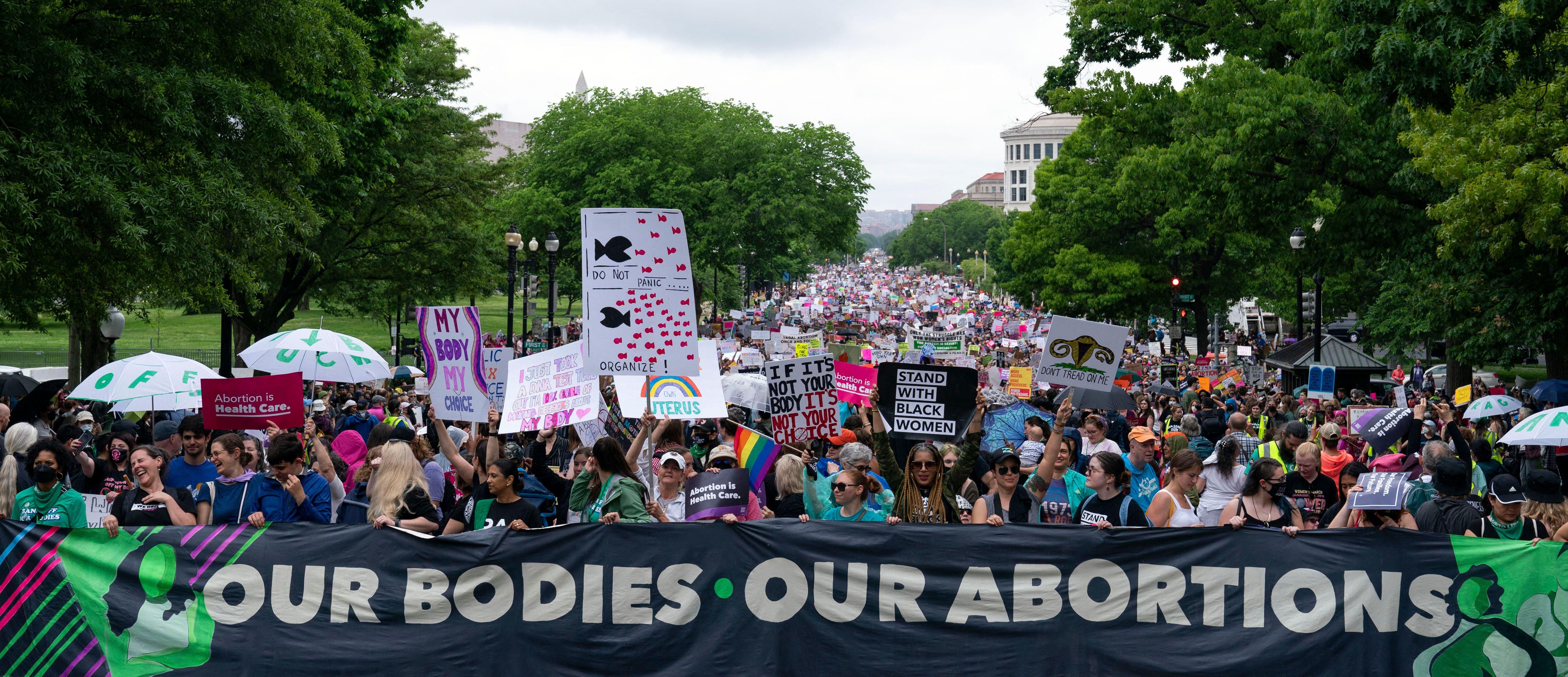 Abortion rights protesters in Washington, DC