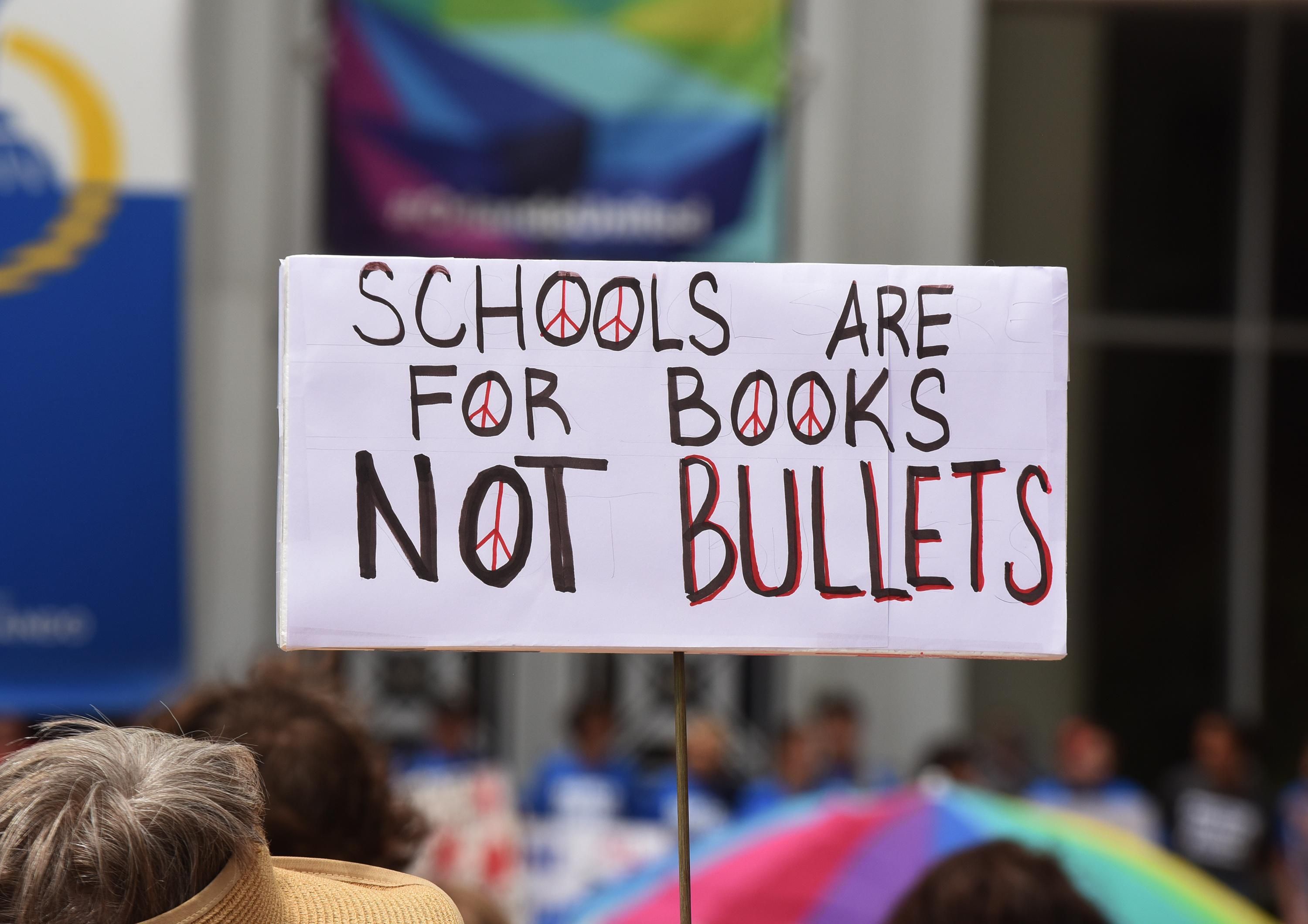 "Schools are for books, not bullets" sign at protest