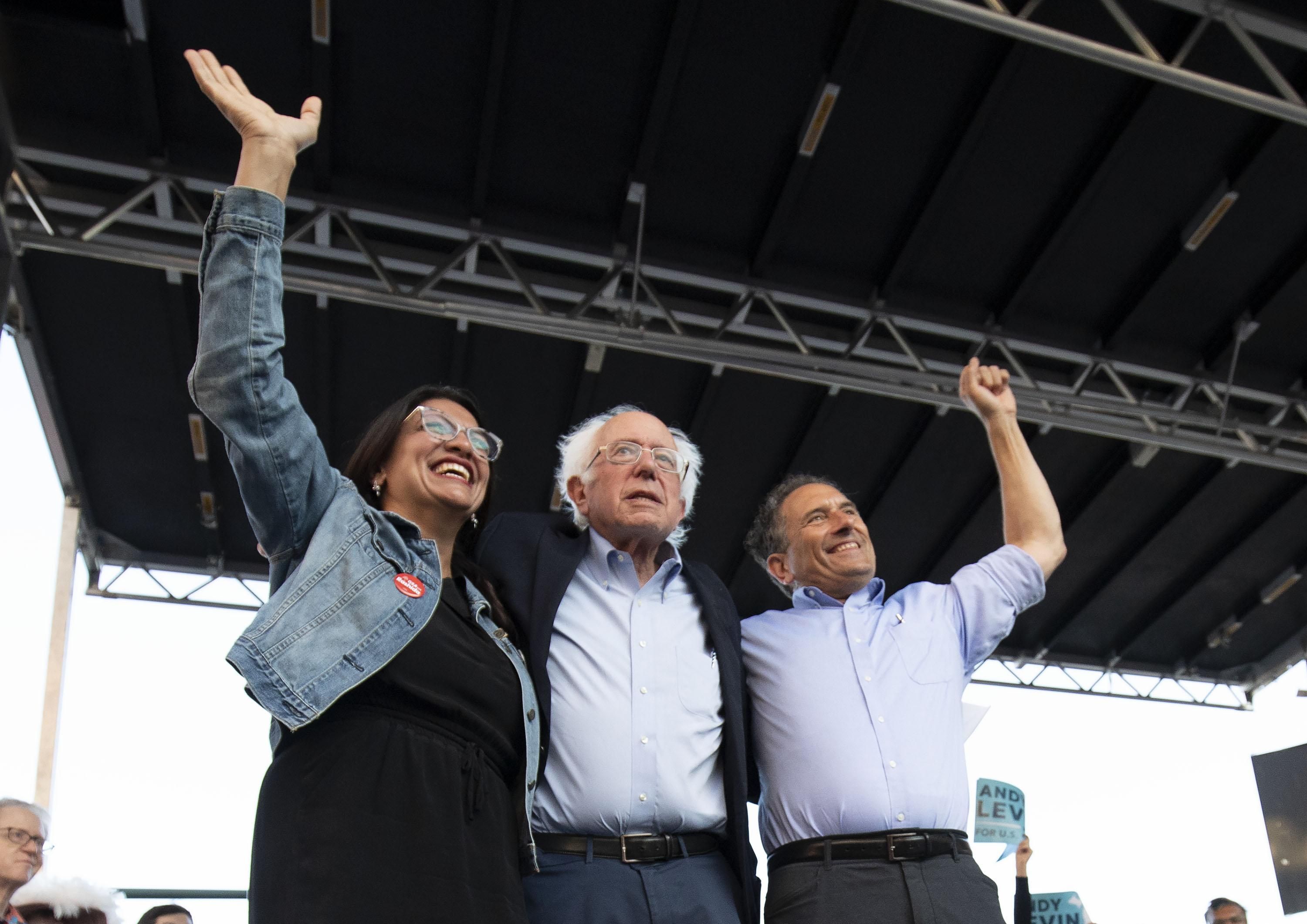 Rashida Tlaib, Bernie Sanders, Andy Levin