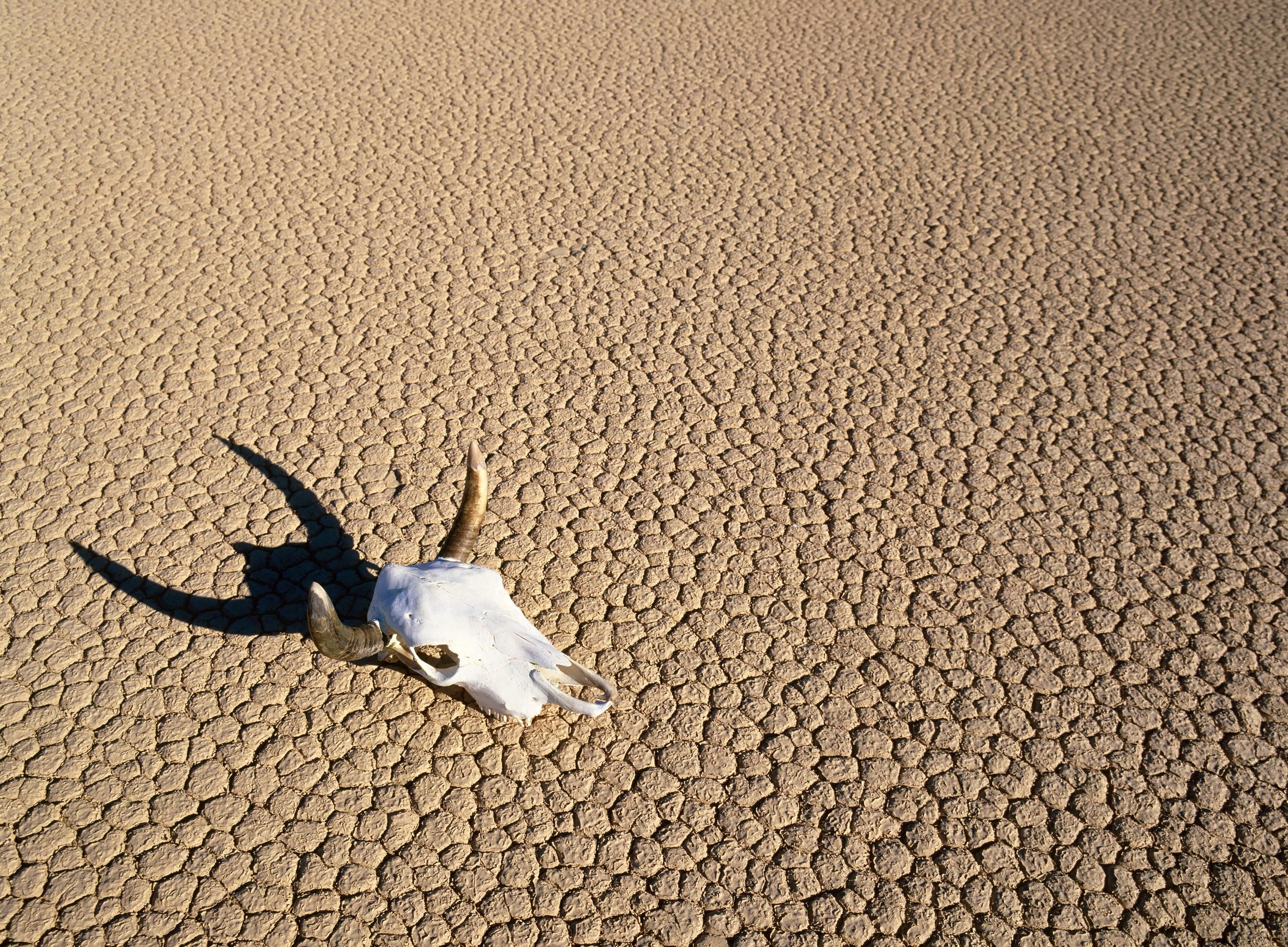 drought