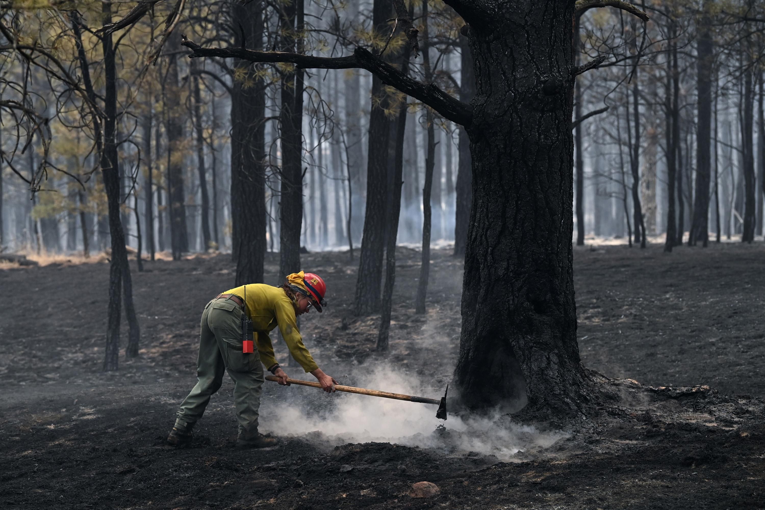 firefighter_newmexico