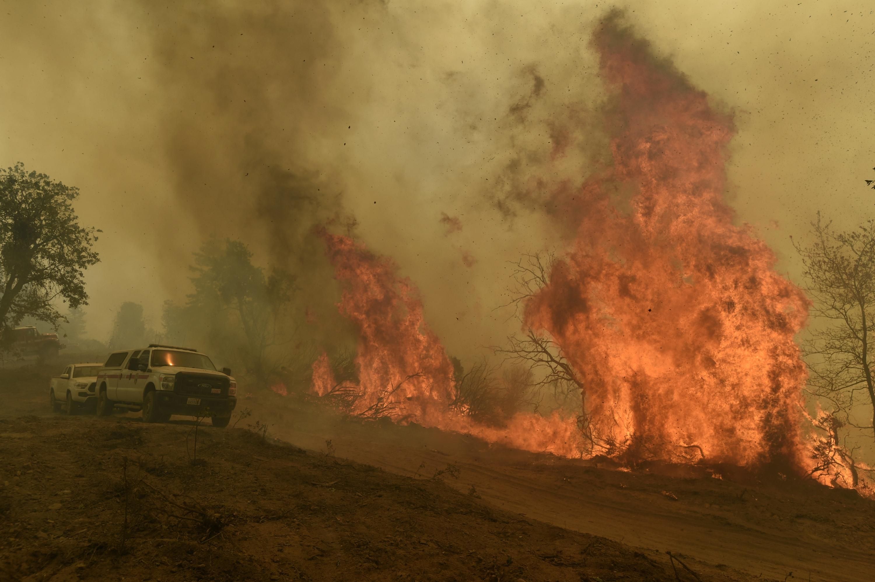 A controlled burn near Oak Fire
