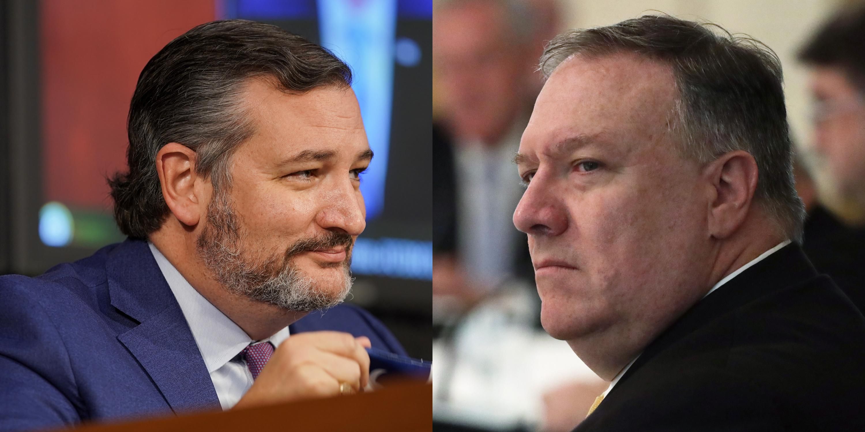 Ted Cruz and Mike Pompeo