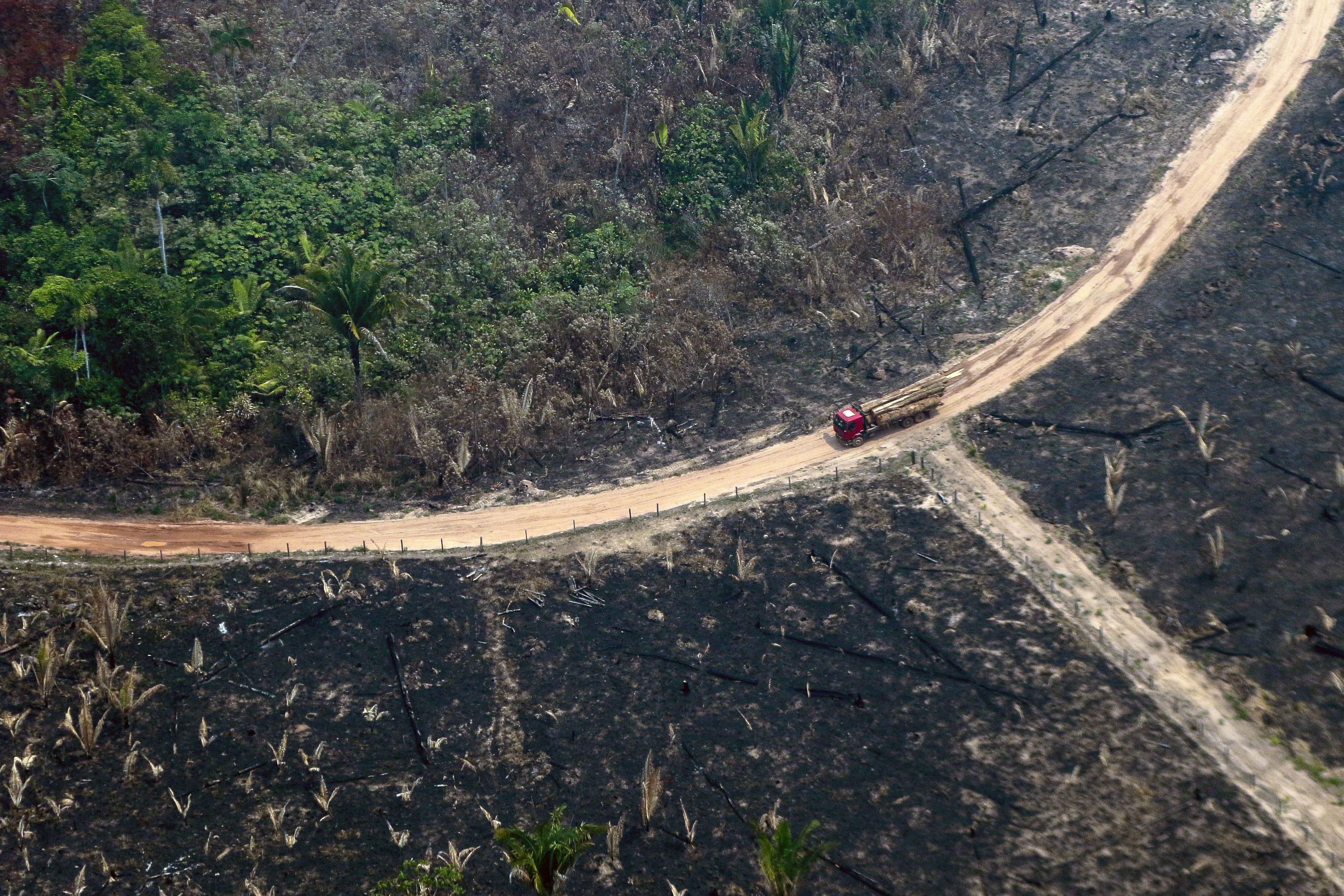 Amazon destruction under Bolsonaro