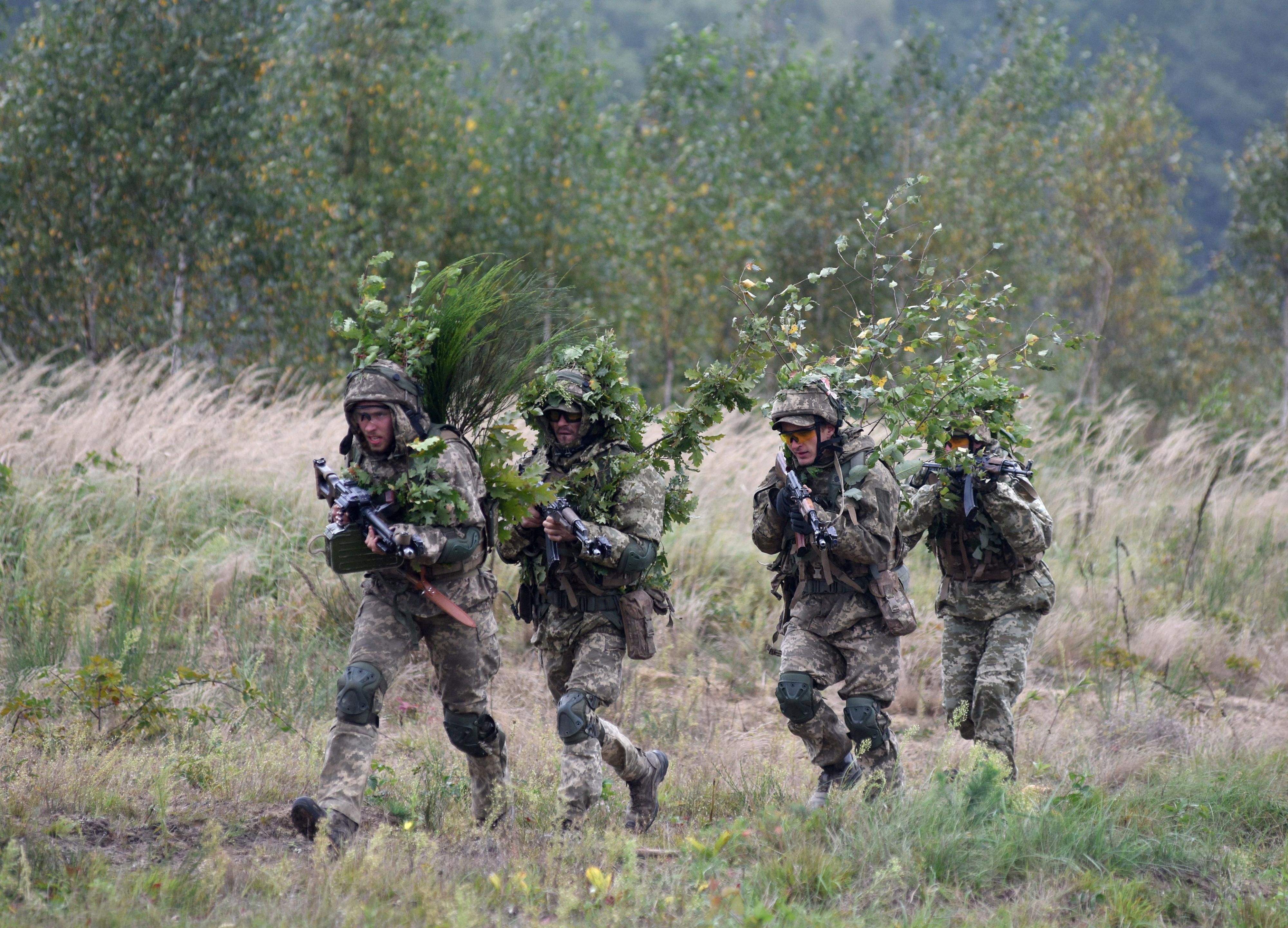Ukraine-Nato