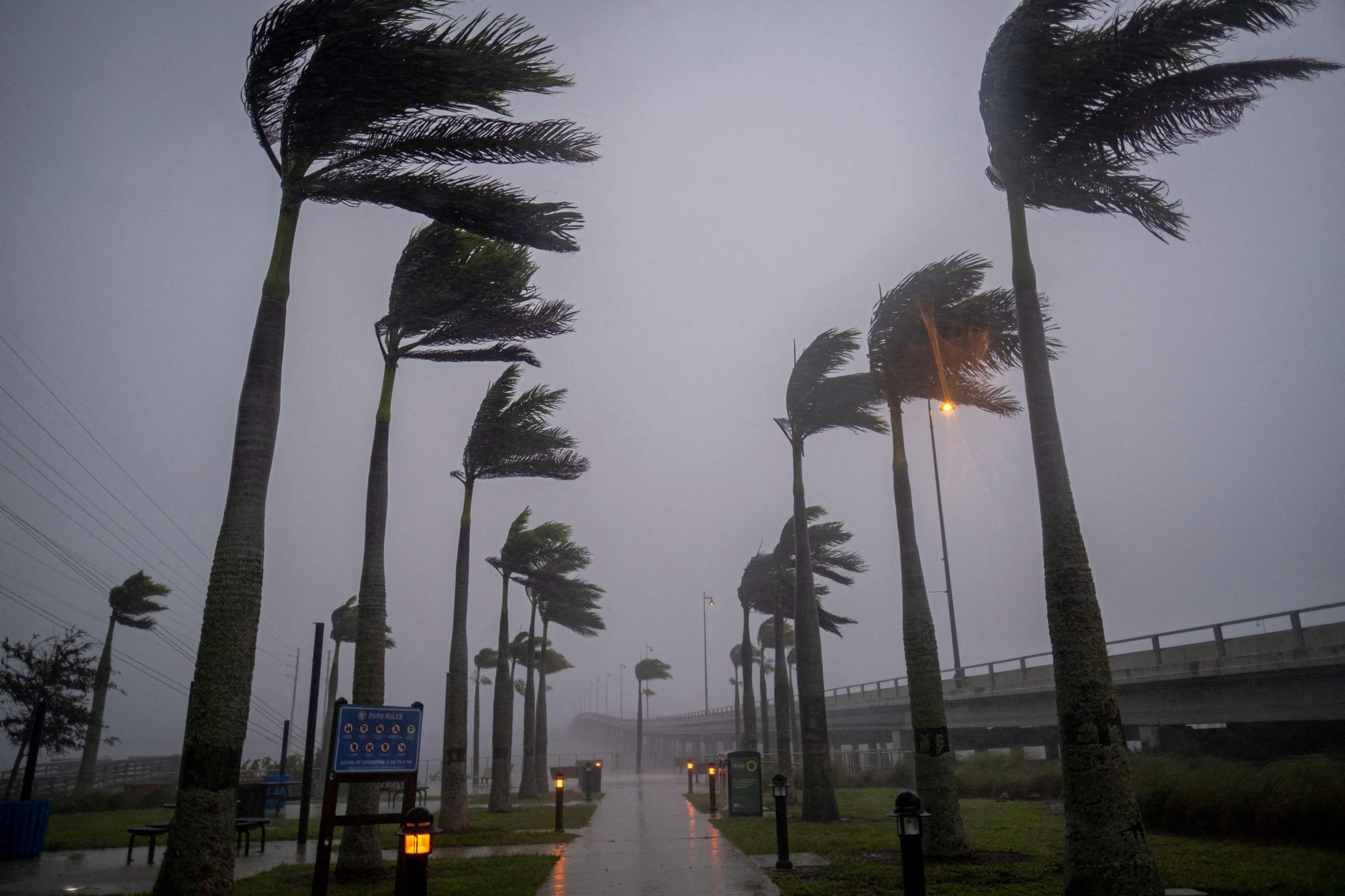 Winds blow palm trees ahead of Hurricane Ian