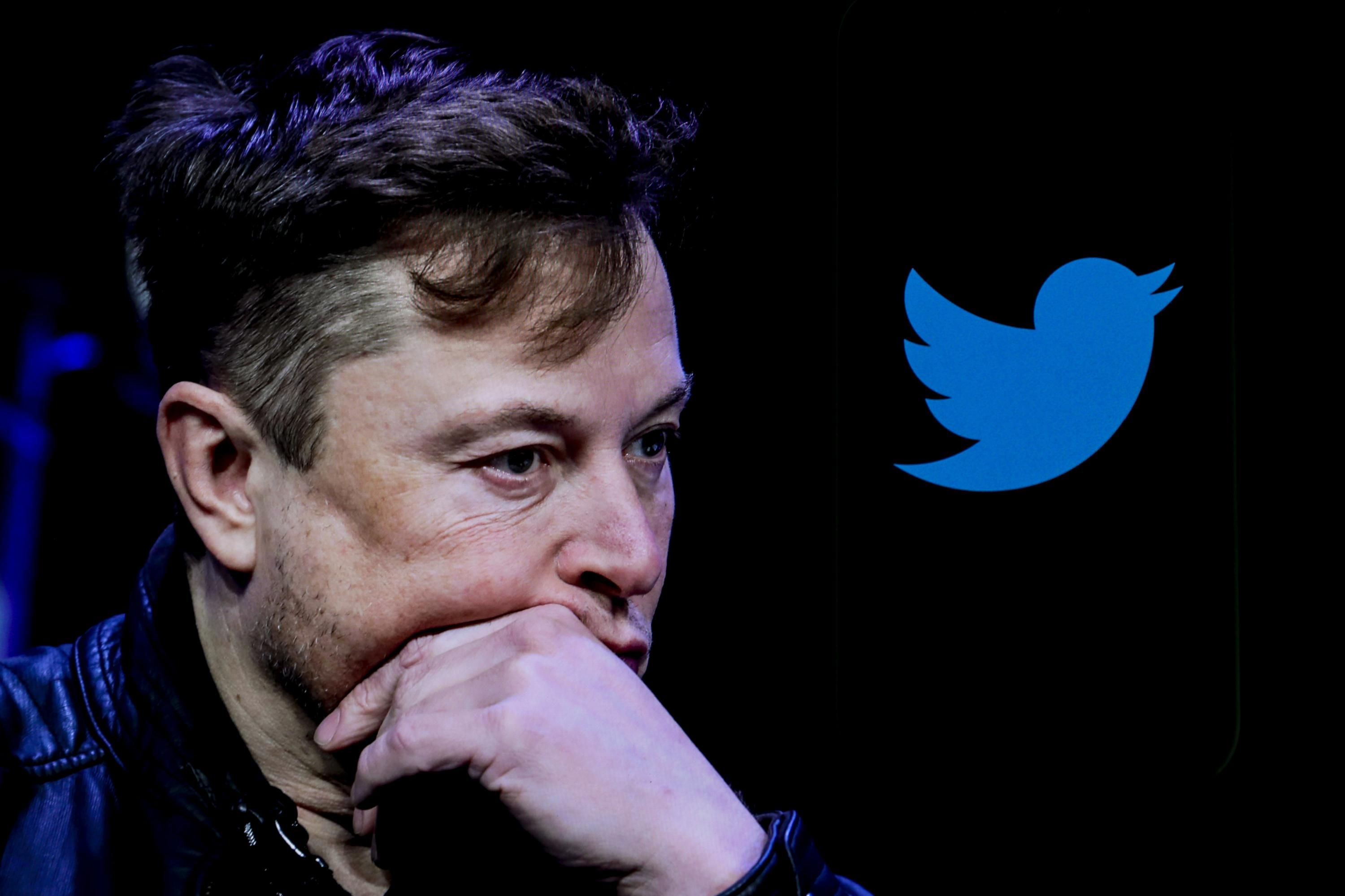 Elon Musk is displayed next to Twitter's logo