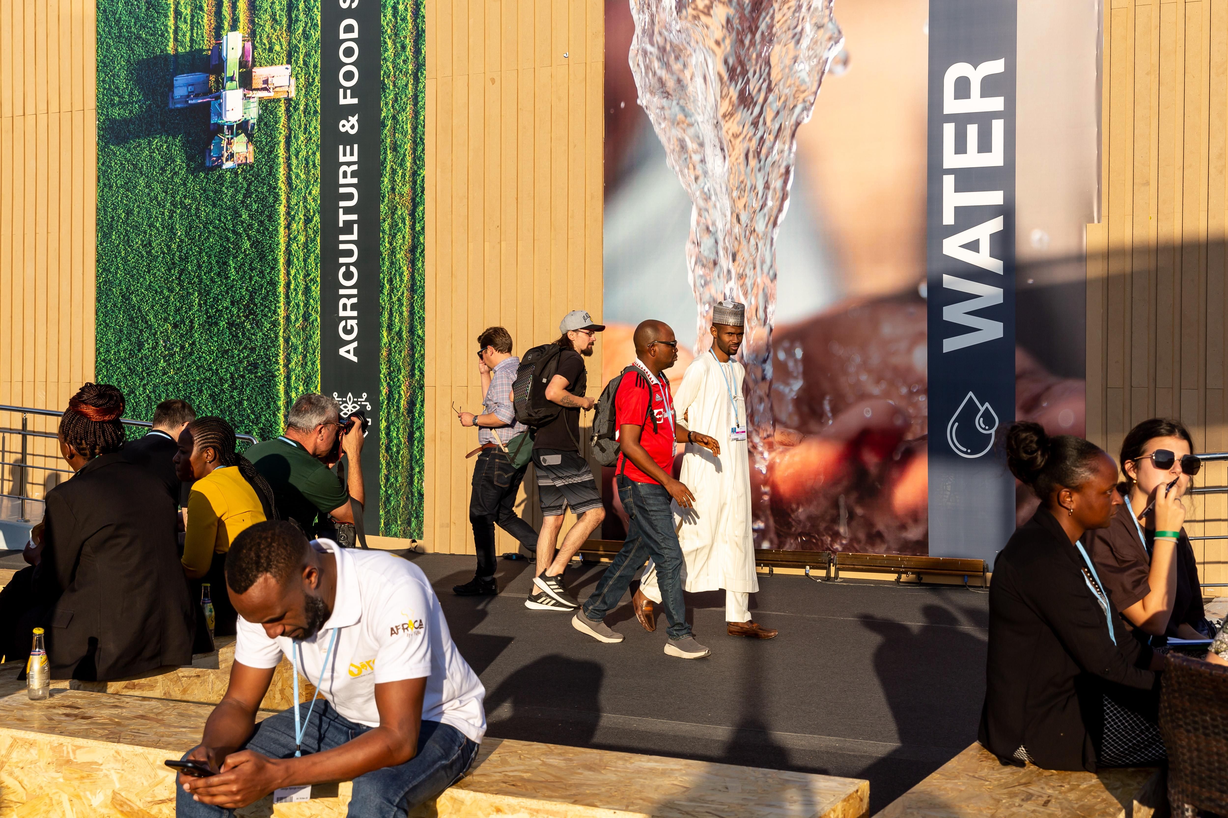COP27 attendee looks at his smart phone