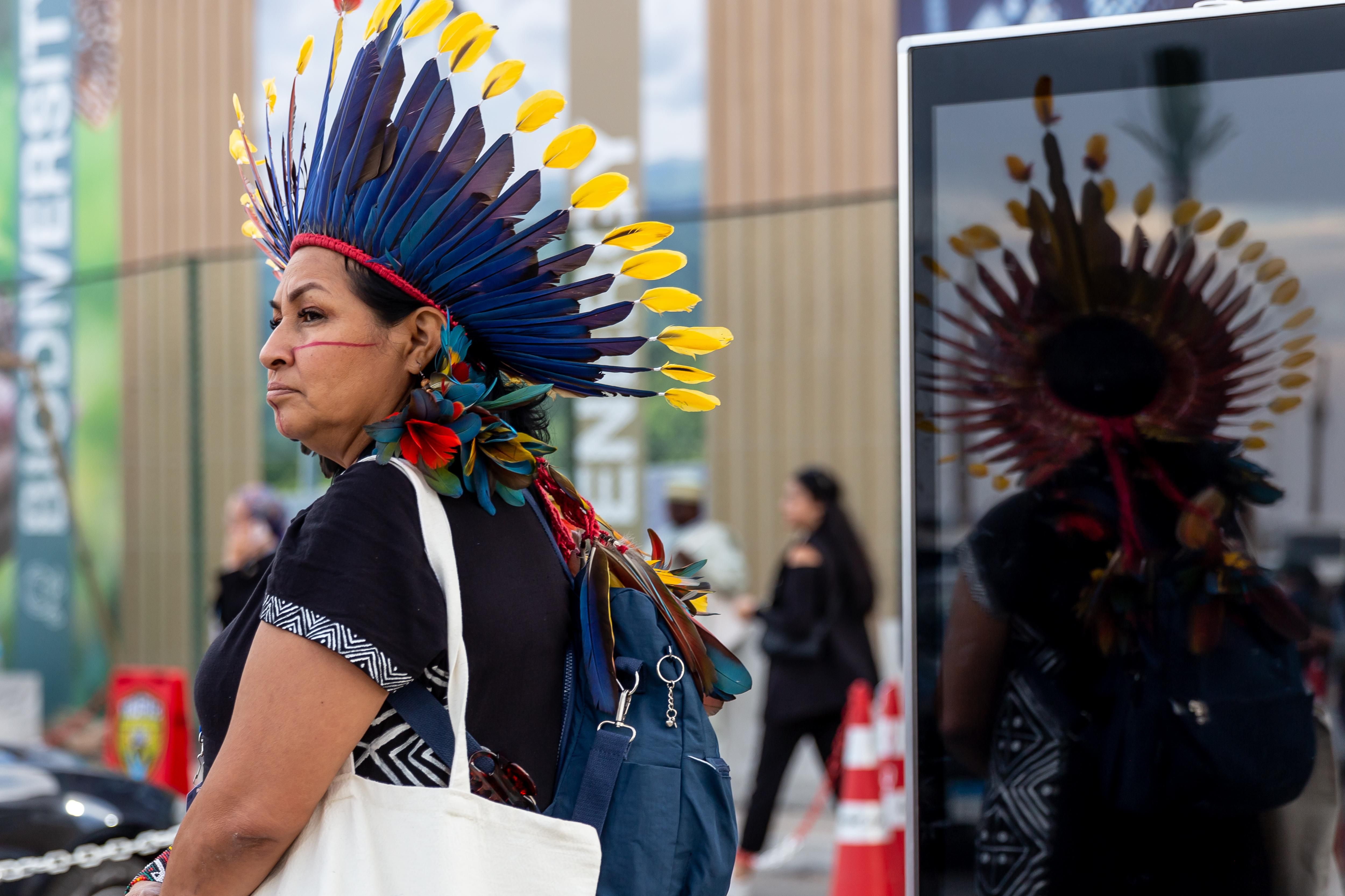 American Indigenous woman standing in the Delegations Pavilions area during of the COP27 UN Climate Change Conference, held by UNFCCC in Sharm El-Sheikh International
Convention Center, Egypt on November 14, 2022.