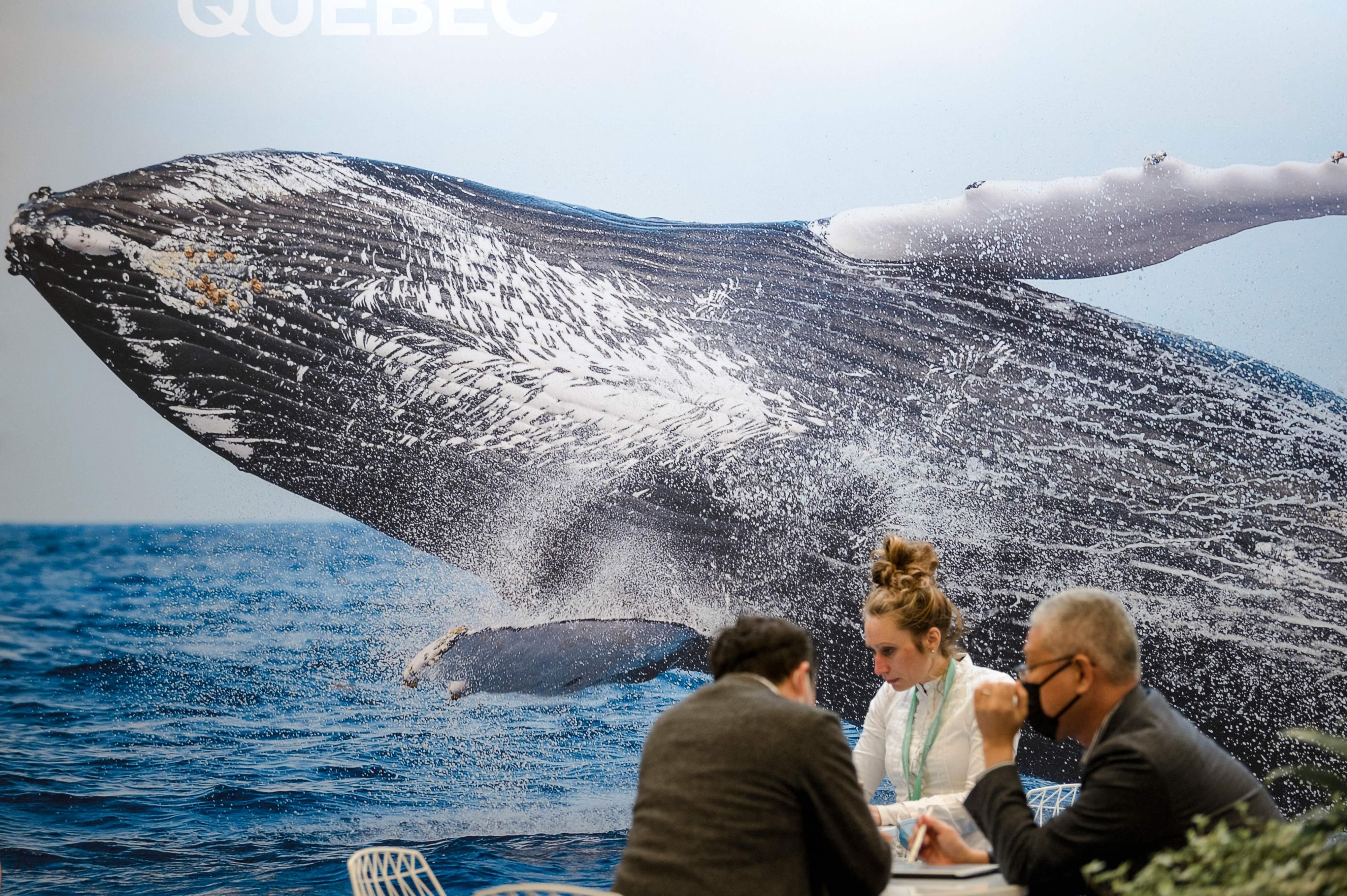 COP15 participants speak with photo of whale in background