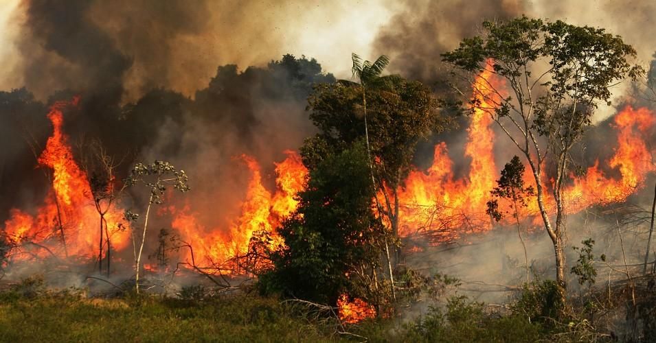 A fire burns trees next to grazing land in the Amazon basin in Ze Doca, Brazil. 
