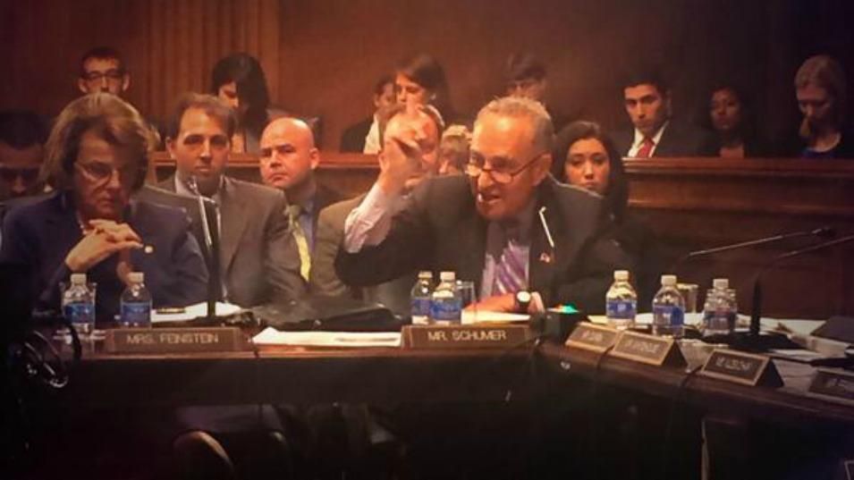 Senator Chuck Schumer (D-New York) spoke at this morning's committee session. (photo: Twitter / @commoncause)