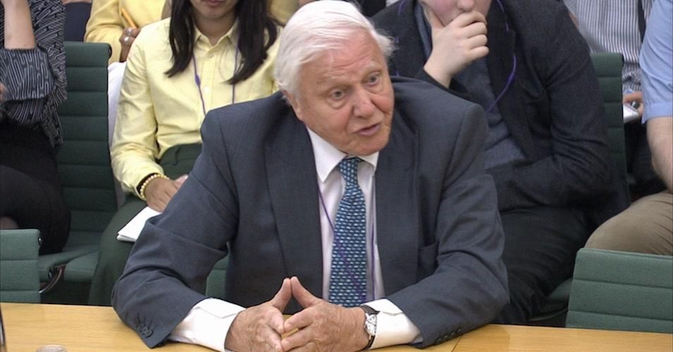 Sir David Attenborough gives testimony to the House of Commons Tuesday.