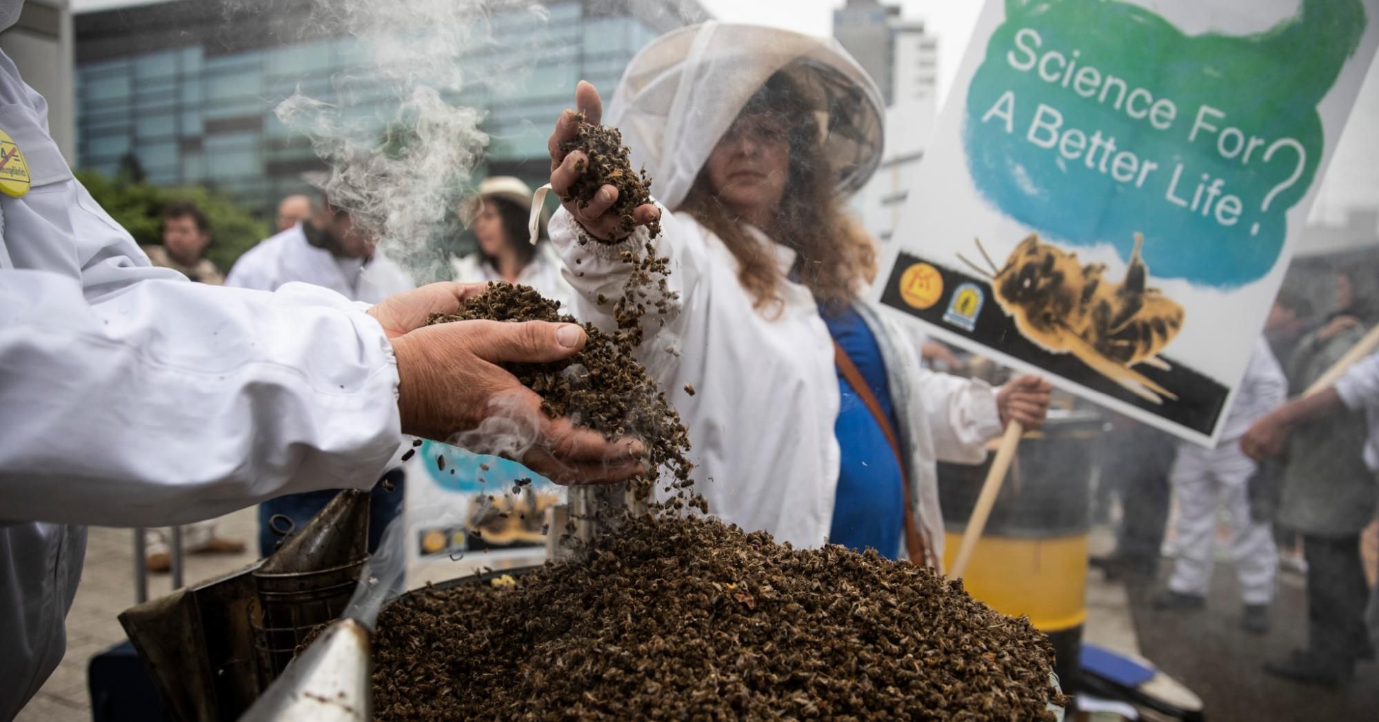 Protesters hold bees killed by pesticides prior to the annual shareholders meeting of German chemicals and pharmaceuticals conglomerate Bayer AG on April 26, 2019 in Bonn, Germany. (Photo: Maja Hitij via Getty Images)