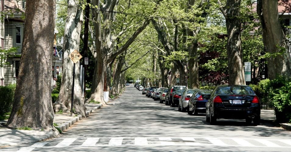 A tree-line street in the city of Brookline, Massachusetts outside Boston. The city council this week voted overwhelmingly to approve new rules that would forbid fossil fuel infrastructure for new residential construction. (Photo: John Allspaw/flicker/cc)