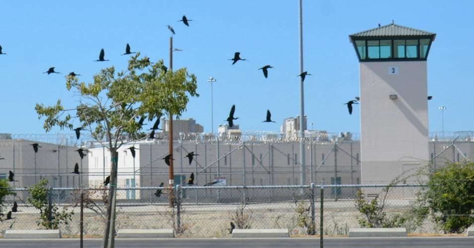 With the new prison reform measure passed, up to 10,000 California non-violent detainees may be eligible for early release. (Photo: Steve Rhodes/cc/flickr)