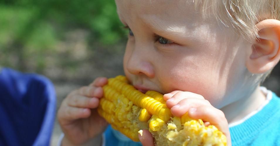 child eats corn