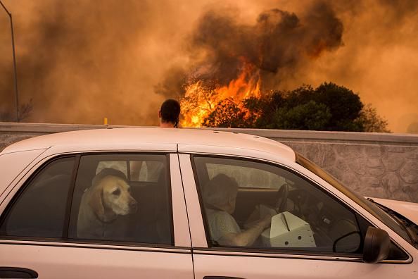 Residents on the 210 freeway try to see if their house on the other side of thick smoke and flames might burn near the community of Tujunga during the La Tuna Fire on September 2, 2017 near Burbank, California. (Photo: David McNew/Getty Images)