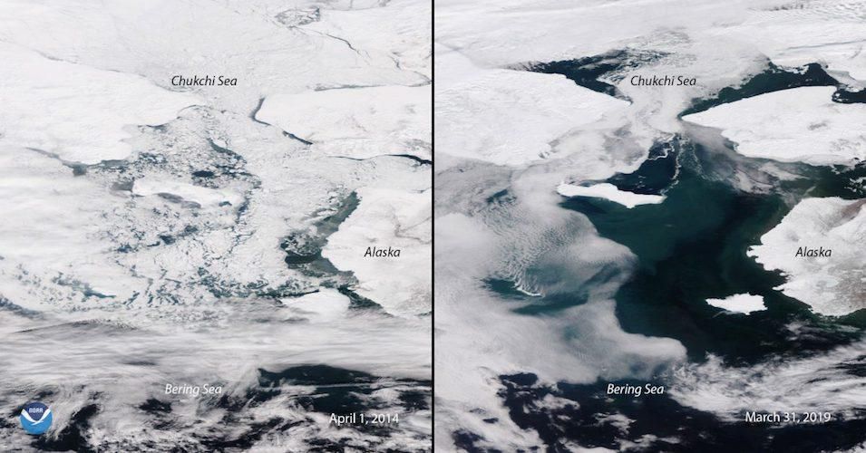 In March 2019, the Bering Sea had less ice than in April 2014.