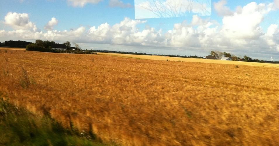A train passes by a corn field in northern Europe. (Photo: Around the world in unknown days/cc/flickr)