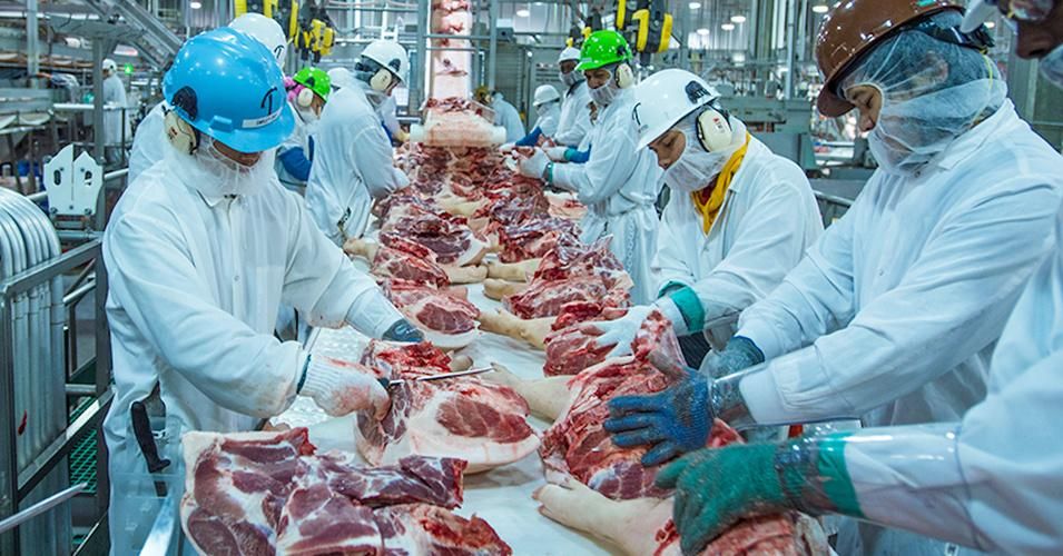 Employees at the Triumph Foods plant in St. Joseph Missouri process pig parts. (Photo: USDA)