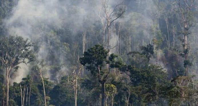 A portion of the Amazon rainforest is illegally burned in the Brazilian state of Para.