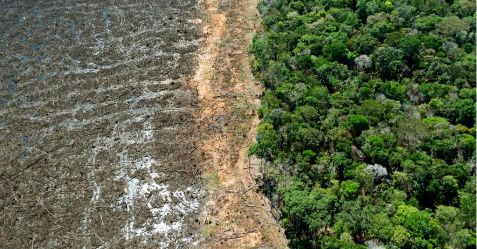 Aerial photograph taken on August 7,2020 of a deforested area in the Brazilian state of Mato Grosso. (Photo: Florian Plaucheur/AFP via Getty Images)