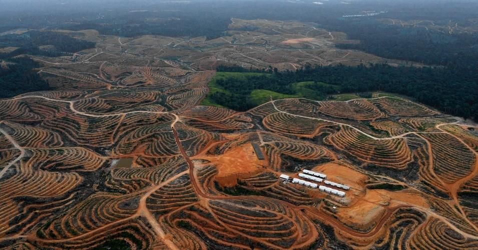This aerial photo shows a large swathe of Indonesian rainforest destroyed by deforestation in service of palm oil plantations on Borneo. (Photo: Bay Ismoyo/AFP via Getty Images)