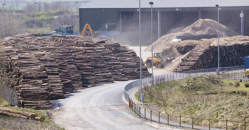 EON's biofuel power station in Lockerbie, Scotland with timber supplies. The power station is fueled 100% by wood sourced from local woodlands.