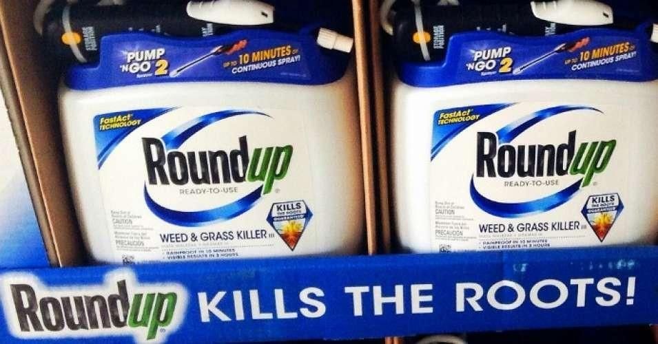 bottles of Roundup