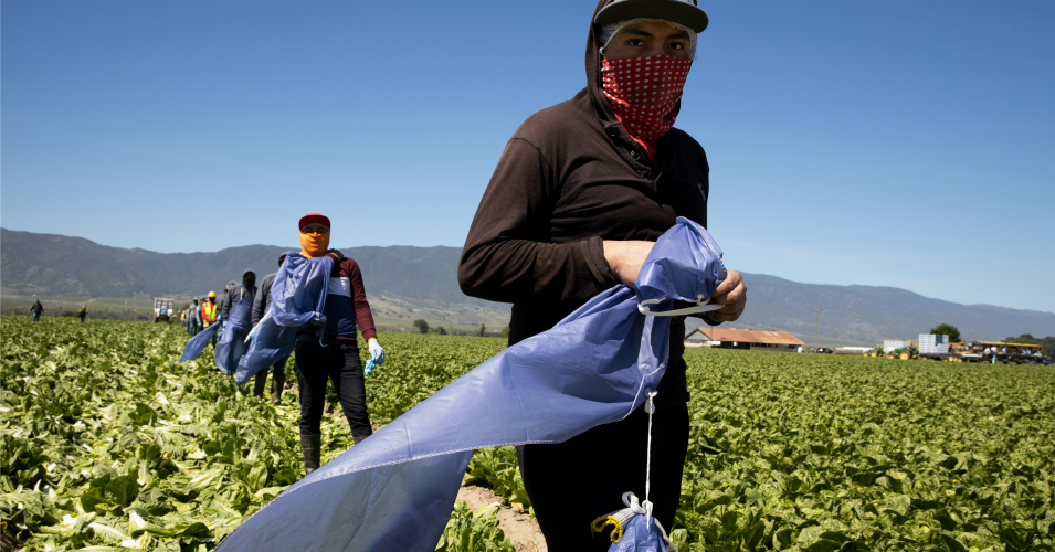 Farm laborers from Fresh Harvest working with an H-2A visa line up to get lunch on April 27, 2020 in Greenfield, California.