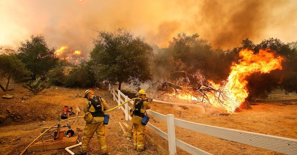 Firefighters from Stockton, Calif., put out flames off of Hidden Valley Rd. while fighting a wildfire, Friday, May 3, 2013 in Hidden Valley, California. 