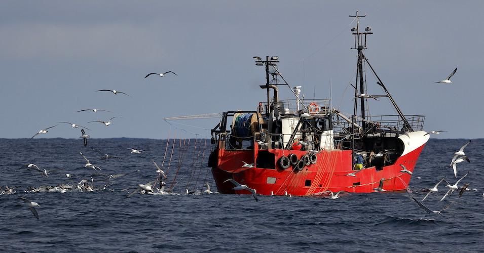 The climate crisis is changing the New England fishing industry, a new report says. 