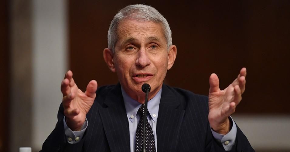 Dr. Anthony Fauci, director of the National Institute for Allergy and Infectious Diseases, testifies before the Senate Health, Education, Labor, and Pensions (HELP) Committee in Washington, D.C. on June 30, 2020. (Photo: Kevin Dietsch/AFP via Getty Images)