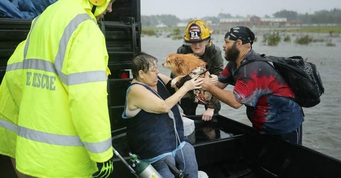 An emergency crew rescues a woman and her dog