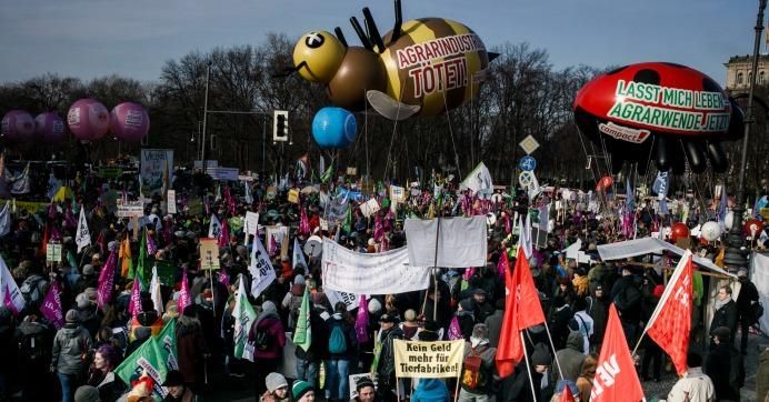 Demonstrators participate in a protest march over agricultural policy on January 19, 2019 in Berlin, Germany