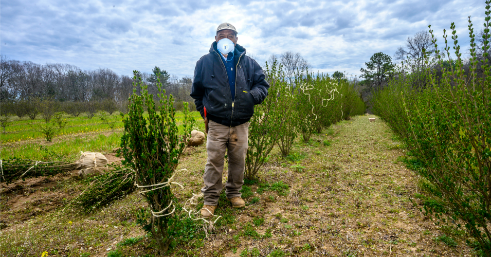Farmworker Juan Antonio wears a face mask in a field in Riverhead, New York