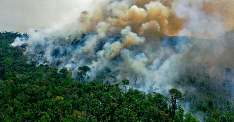 Aerial view of a burning area of Amazon rainforest reserve south of Novo Progresso in Para state on August 16, 2020.