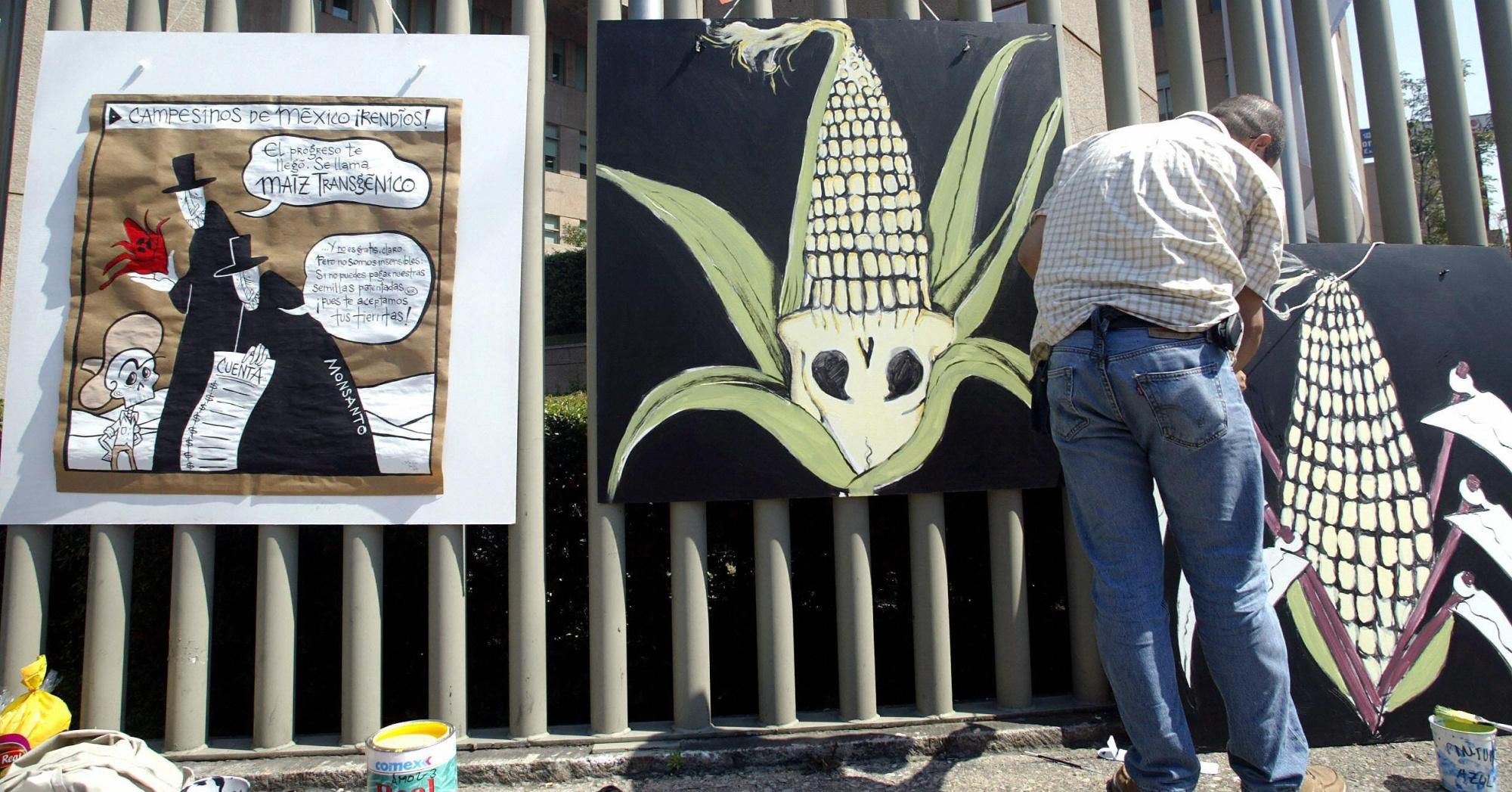 An activist from the environmental group Greenpeace participates in a protest against the use of transgenic corn on November 8, 2004, in Mexico City. (Photo: Juan Barreto/AFP via Getty Images) 
