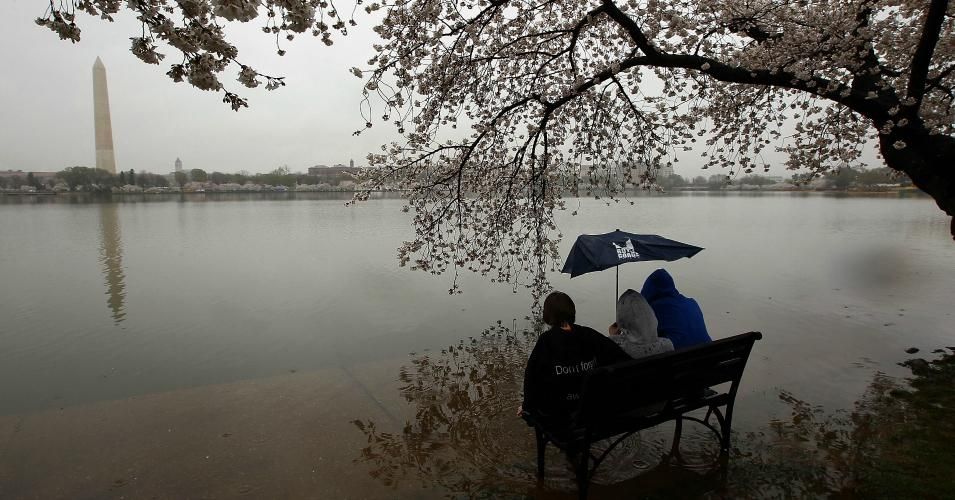 Maxewell Rees and his brothers Daniel Rees and Jackson Rees sit on a park bench partly submerged due to seasonal flooding next to the Tidal Basin as cherry blossoms begin their annual blooming season March 29, 2010 in Washington, D.C. (Photo: Win McNamee/Getty Images)