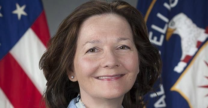 The official portrait of CIA deputy director Gina Haspel, a woman some in her own agency called "Bloody Gina." 