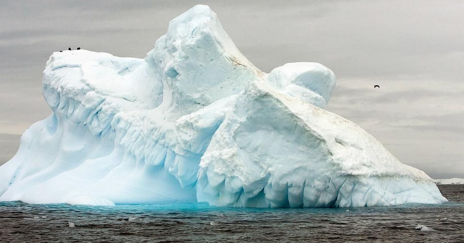 The Collins glacier in Antarctica is melting as a result of climate change.