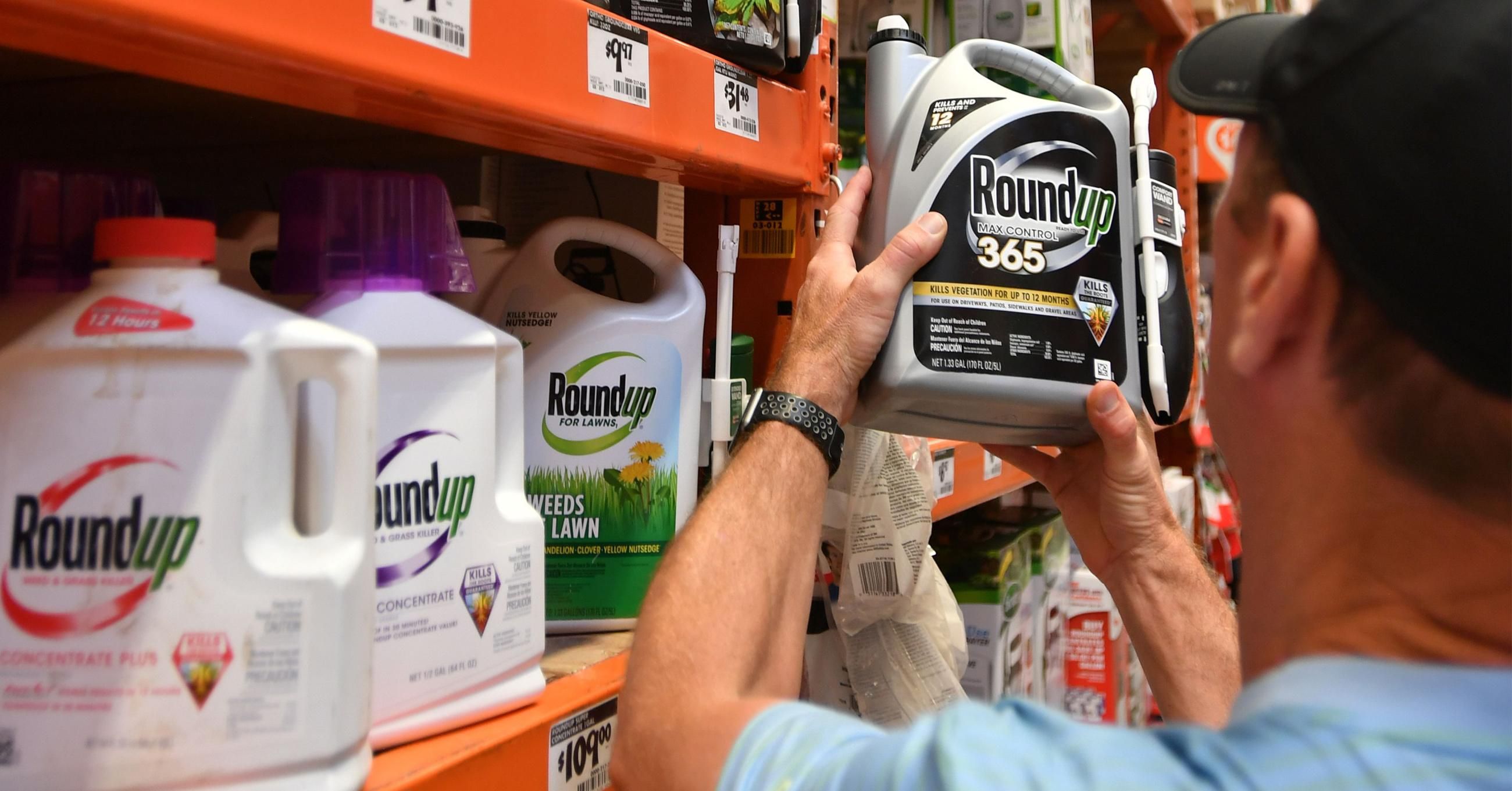 A customer shops for Roundup weedkiller at a store in San Rafael, California on July 9, 2018. (Photo: Josh Edelson/AFP via Getty Images)