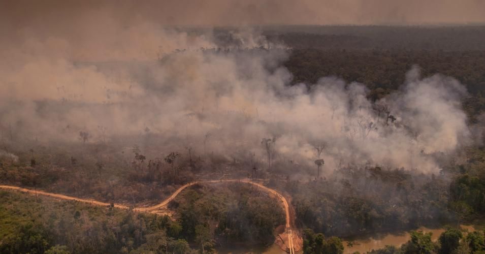 Greenpeace flew over Amazonas and Rondônia on August 16, 2020 states to verify the effectiveness of a fire ban imposed by the Brazilian government last month. (Photo: Christian Braga/Greenpeace)