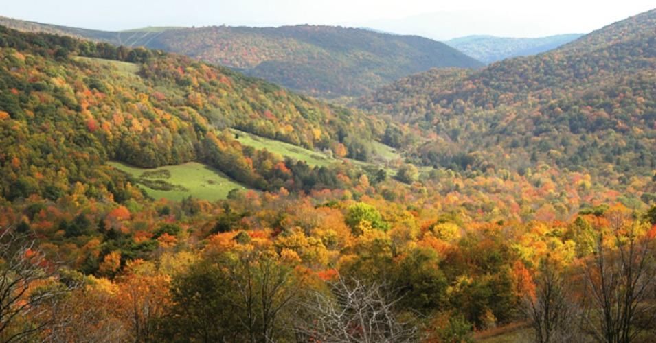 Fracking the George Washington National Forest will threaten the water supply for over 5 million people living in and around Washington D.C. (Photo: United States Forest Service)