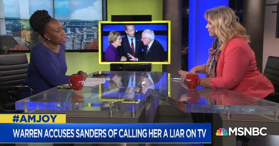 MSNBC weekend anchor Joy Ann Reid host invited Janine Driver on her show Saturday morning. Driver, who bills herself as a "body language expert," accused Sen. Bernie Sanders of being a liar on national television because he "turtles" his shoulders and lowers his "eye level" when he says certain things. (Photo: MSNBC/Screenshot)