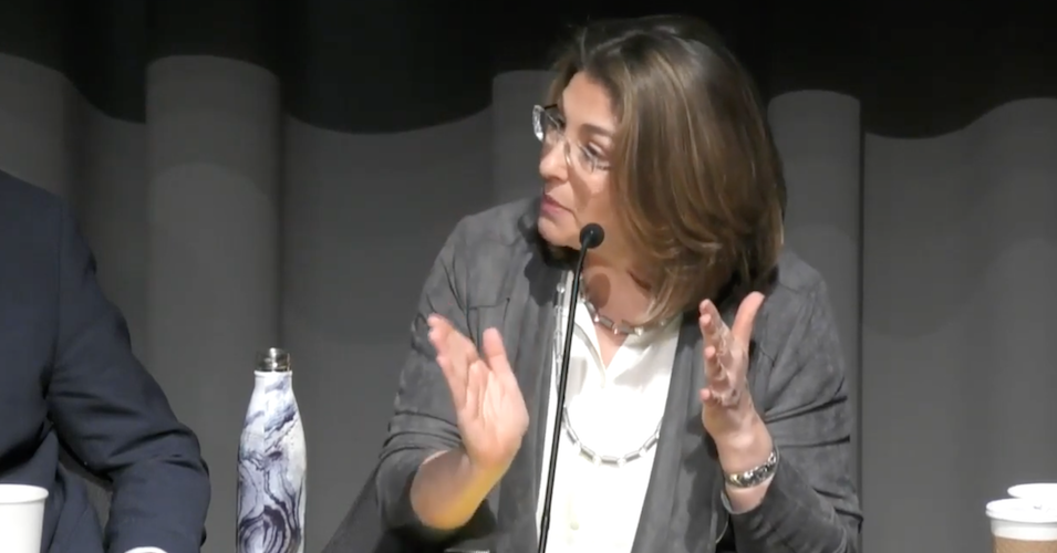 Naomi Klein speaks to the audience at an April 30 ﻿CJR﻿/﻿The Nation﻿ town hall. 