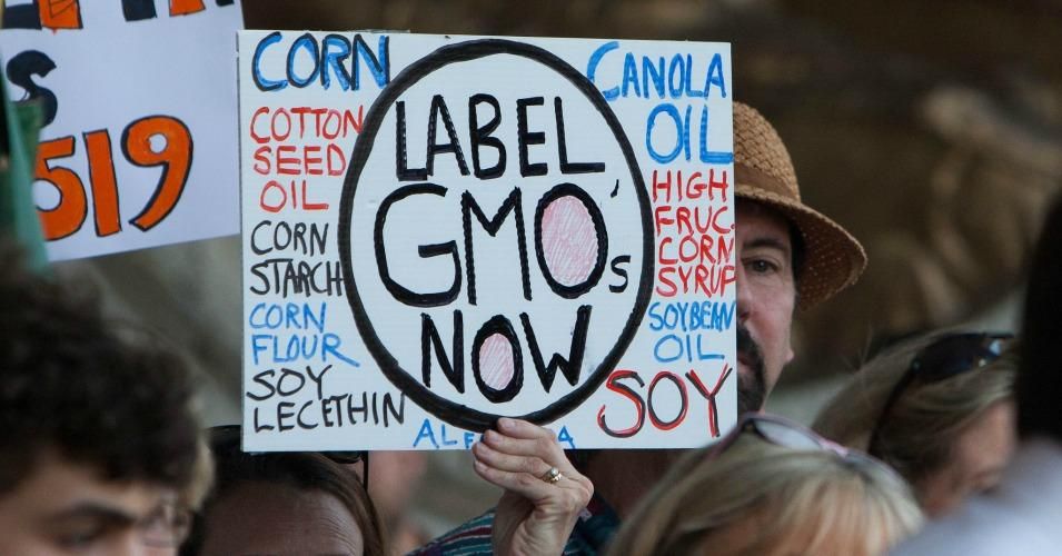 Monsanto alone has poured roughly $14 million into local 2014 ballot fights opposing GMO legislation. (Photo: CT Senate Dem/cc/flickr)