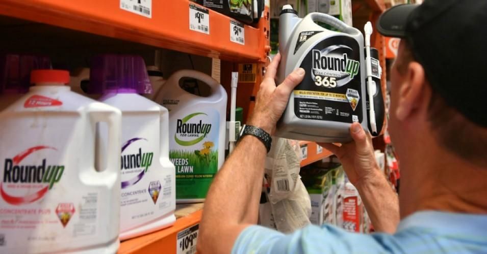 The EPA formally declared Thursday that weedkiller chemical glyphosate poses no threat to human health. Activists were outraged. 